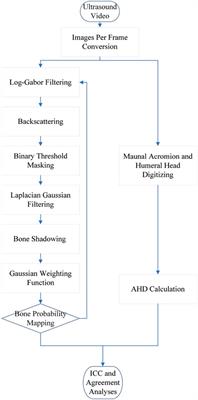 Computer-aided quantitative ultrasound algorithm of acromiohumeral distance among individuals with spinal cord injury